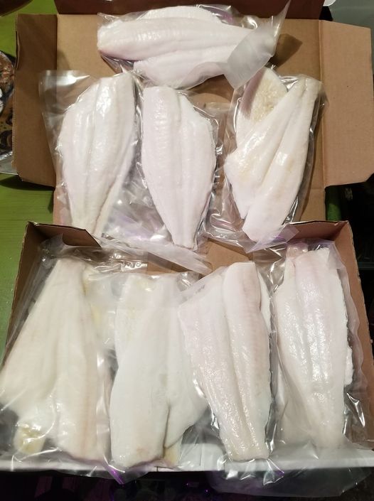 Filet sole
