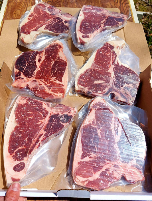 T-BONE (6)